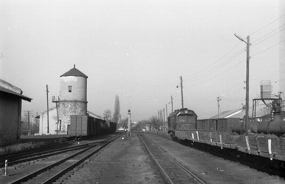 Атмосфера старины. В Украине сохранилась редкая узкоколейка: что о ней известно