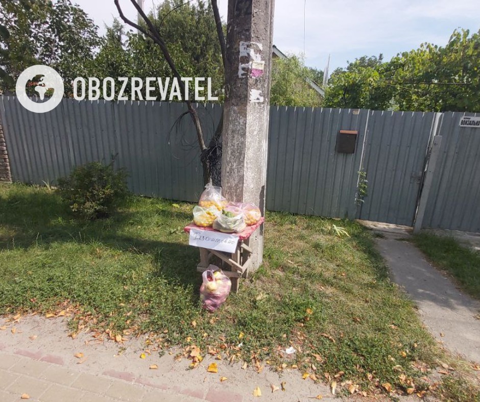 Непобедимый народ: в Буче местные жители раздают урожай нуждающимся бесплатно