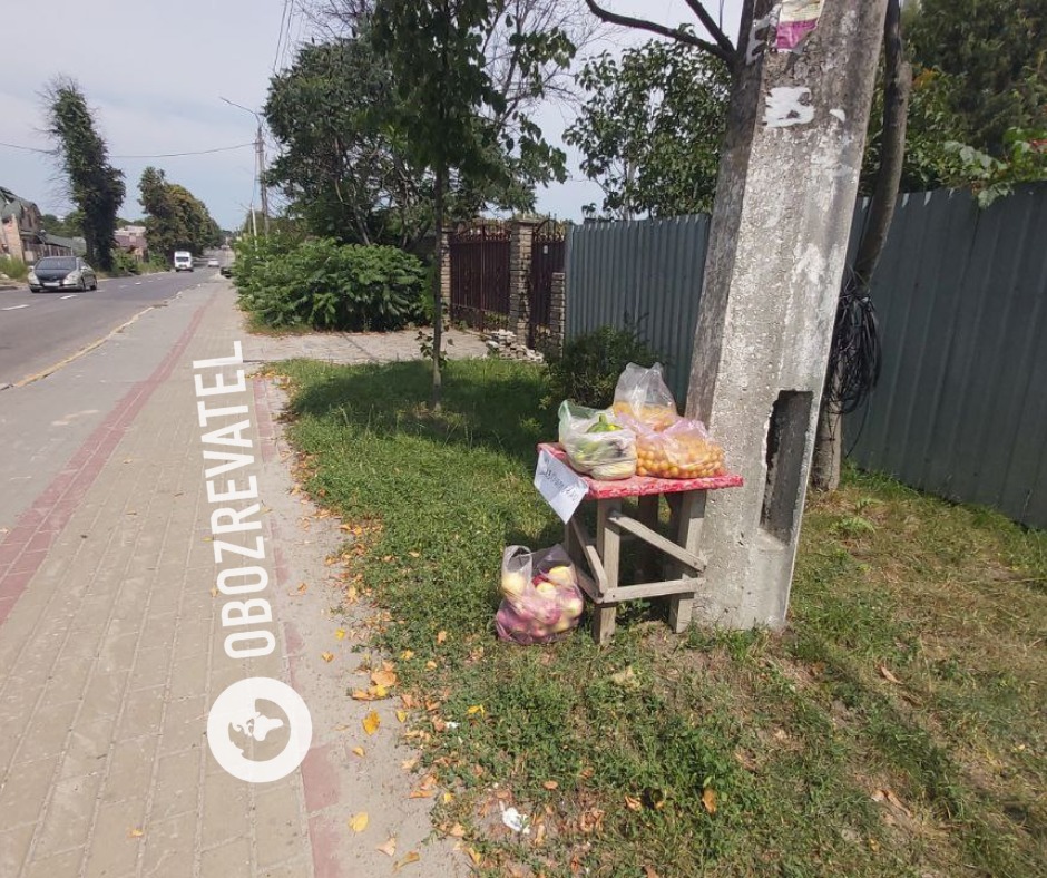 Непобедимый народ: в Буче местные жители раздают урожай нуждающимся бесплатно