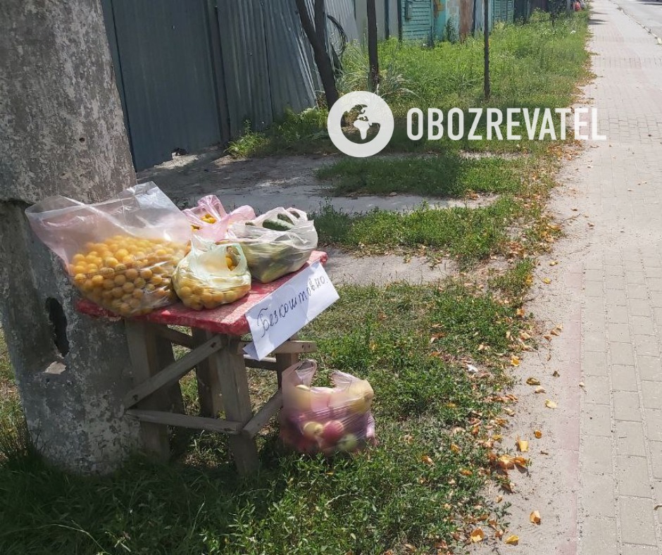 Непобедимый народ: в Буче местные жители раздают урожай нуждающимся бесплатно