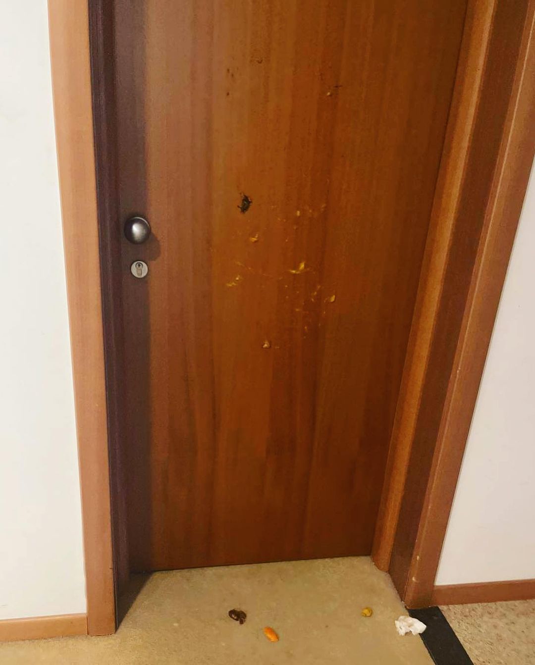 "Я боялась за сына": Маша Фокина пожаловалась на россиян в Болгарии