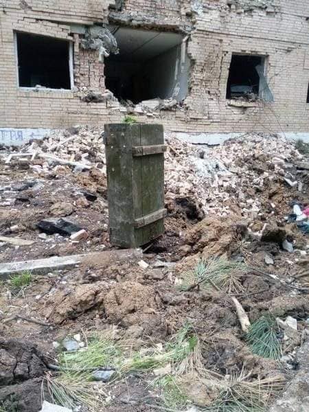 Невероятная история спасения целого роя пчел: прибились к военным прямо на линии фронта