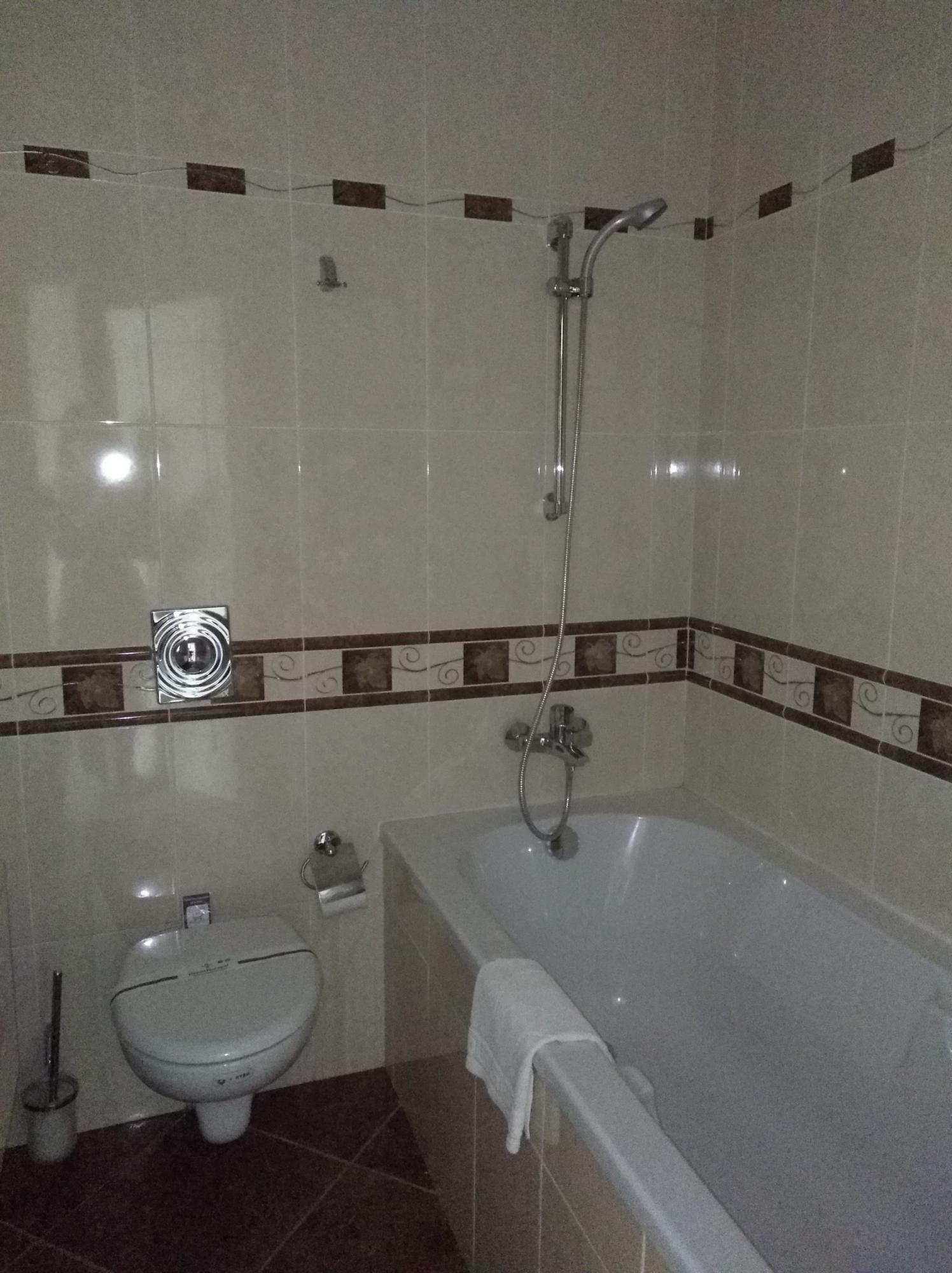 Гостиницу Кучмы, построенную для Путина и Лукашенко, выставили на аукцион: как она выглядит