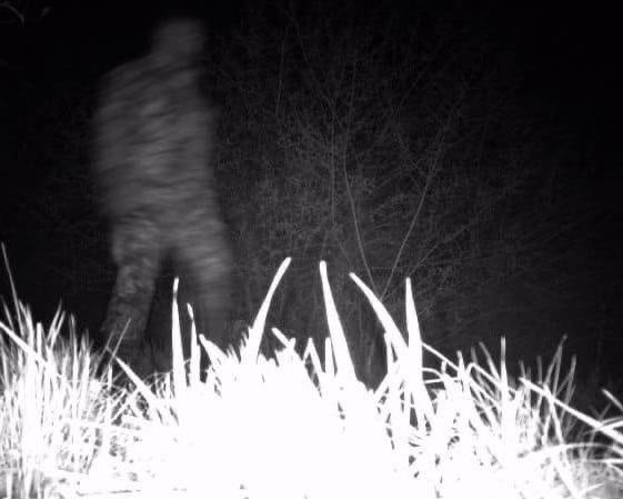 І тікав, і вкрав. На кордоні затримали киянина, який пограбував прикордонників