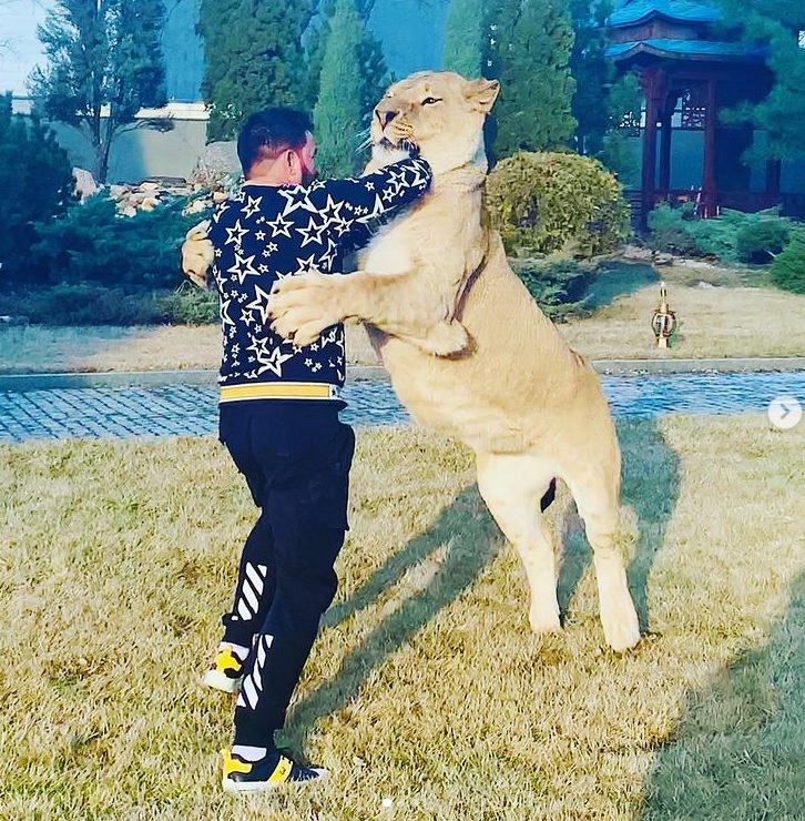 В Харькове местный депутат рассекает с африканским львом в автомобиле (видео)