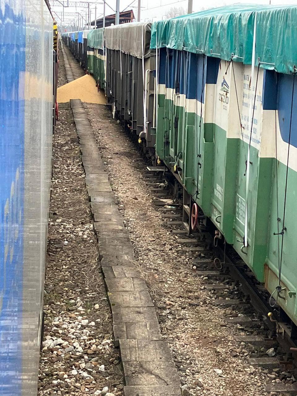 У Польщі знову висипали українське зерно