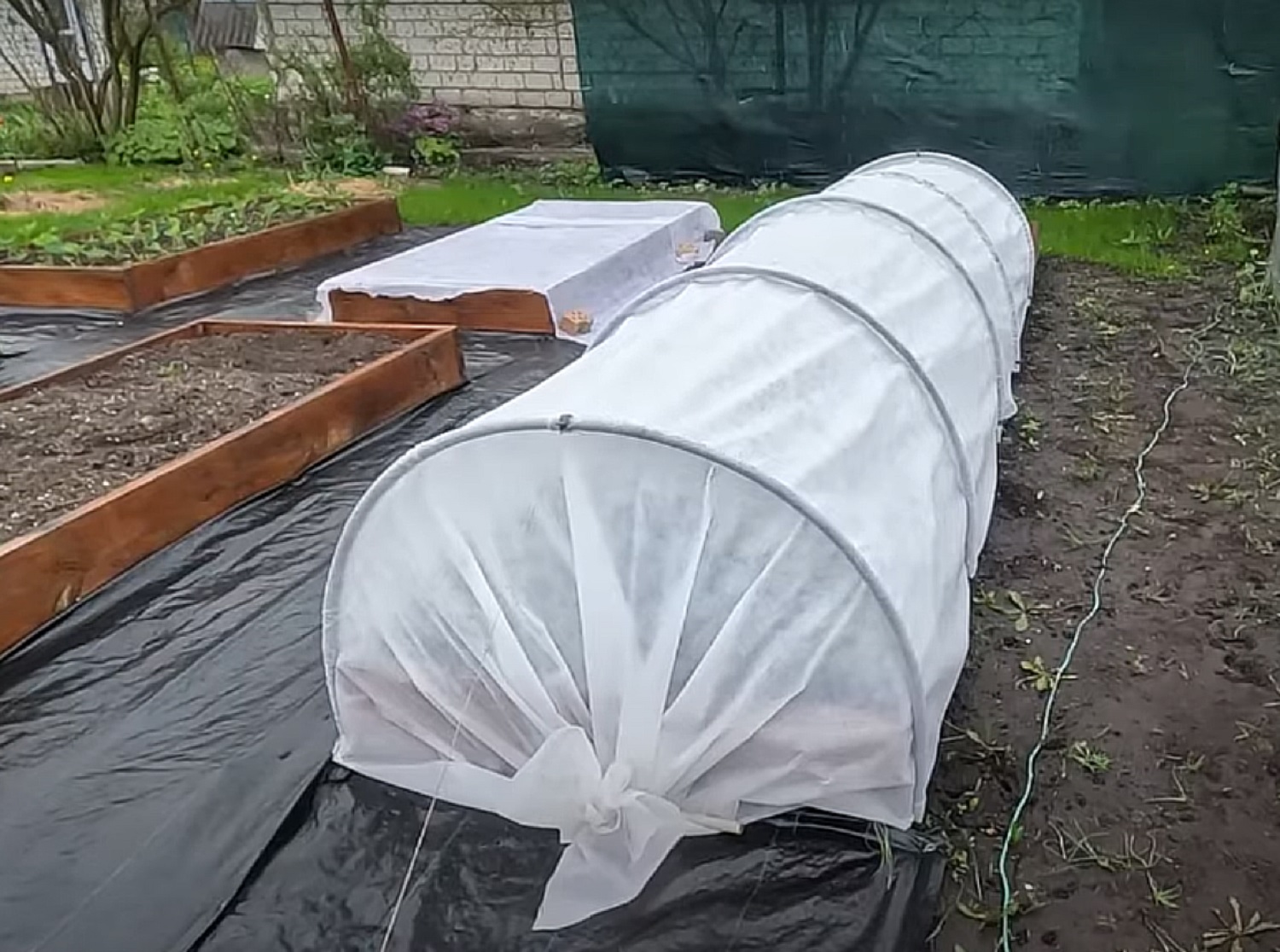 Немає теплиці, але дуже треба? Ось 3 доступних варіанти, чим її замінити