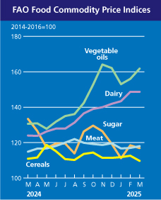 Світові ціни на масло та олію б'ють рекорди: в ООН назвали причини