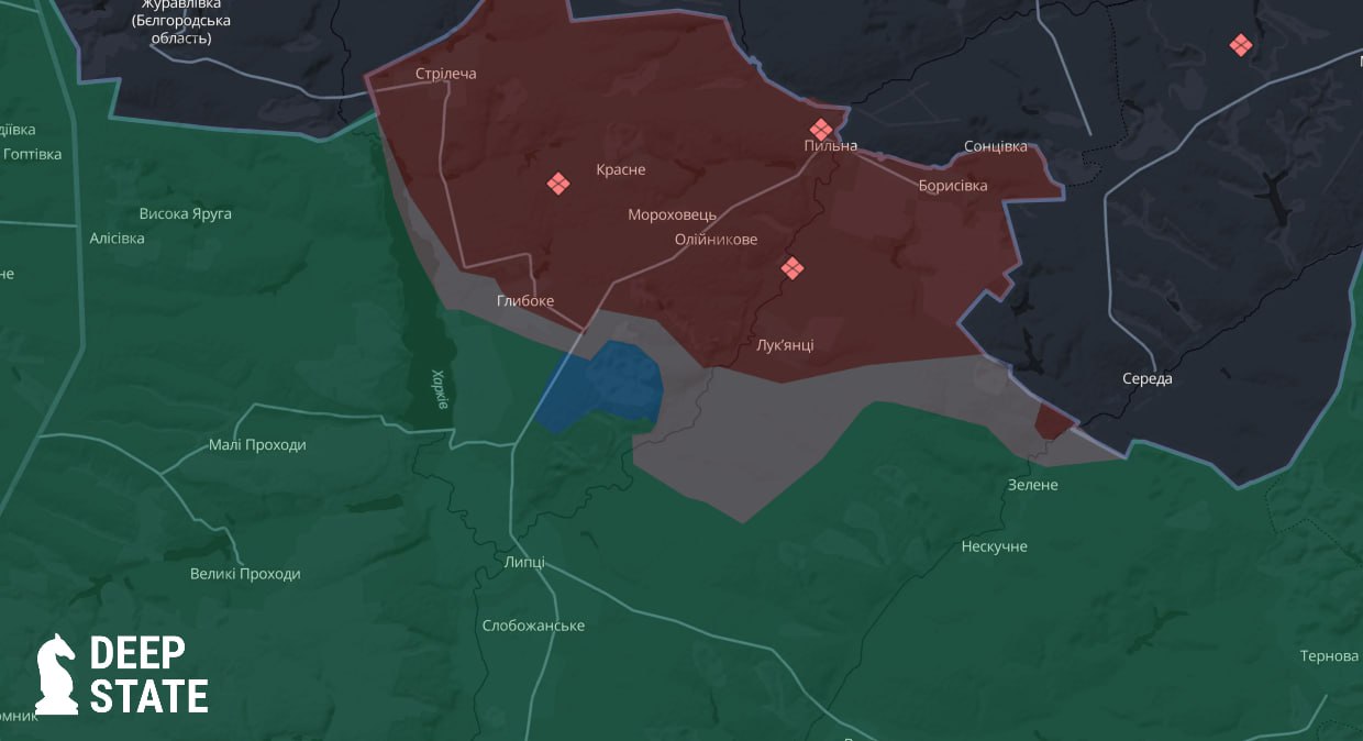 П'ять місяців боїв: Сили оборони звільнили 200 гектарів лісу у Харківській області
