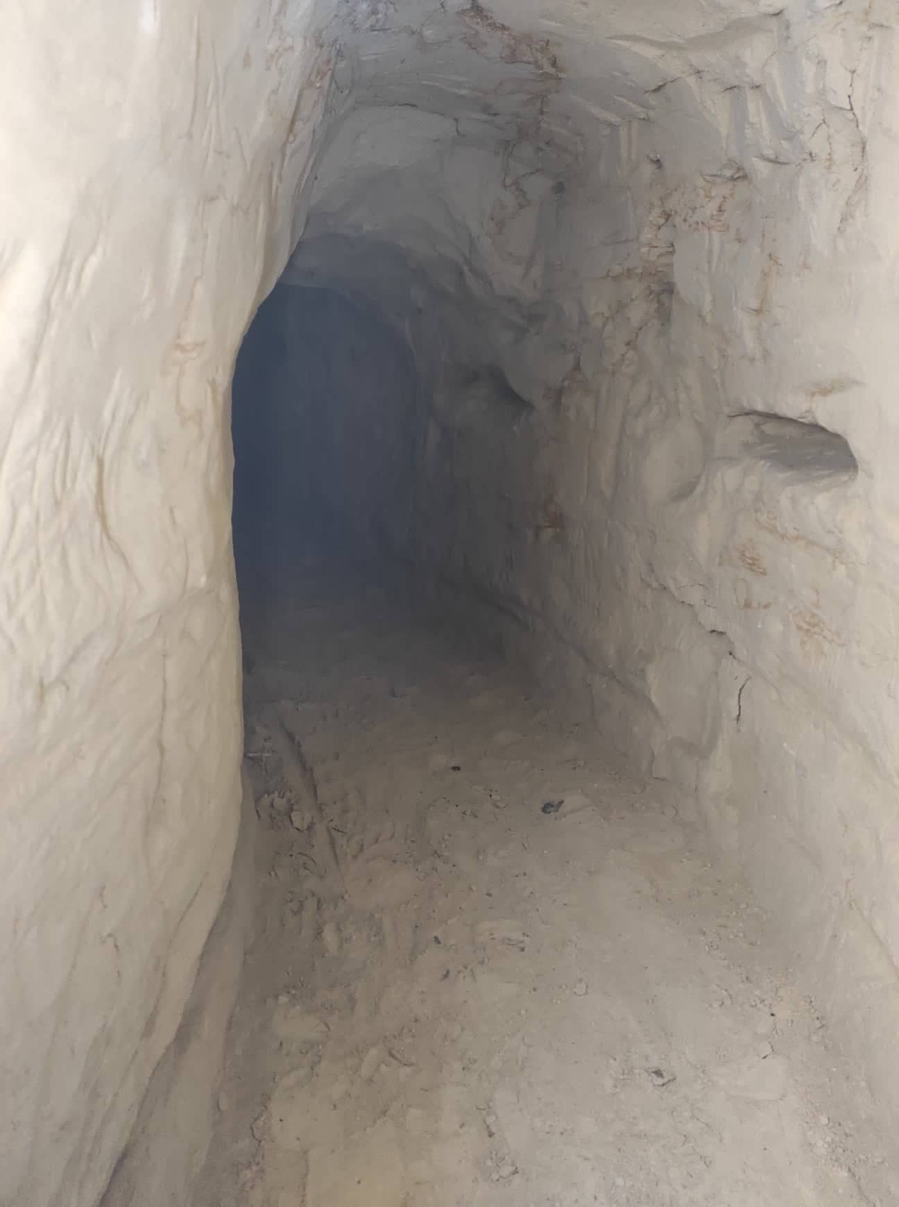 Нова київська таємниця: біля стін Софійського собору знайшли залишки загадкової будівлі (фото)