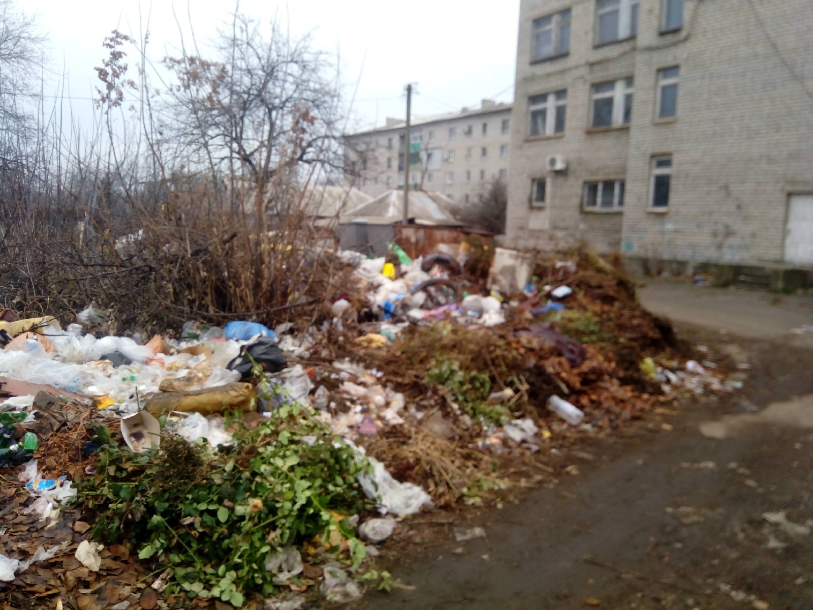 "Эхо войны": в сети появились печальные фото из оккупированного Иловайска