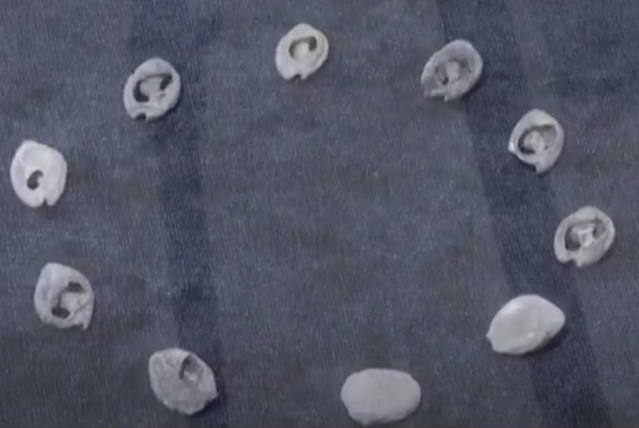 Археологи обнаружили самые старые ювелирные изделия в мире (фото)