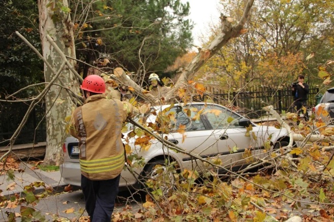Переворачиваются машины и срываются крыши: на Стамбул обрушился мощный ураган (видео)