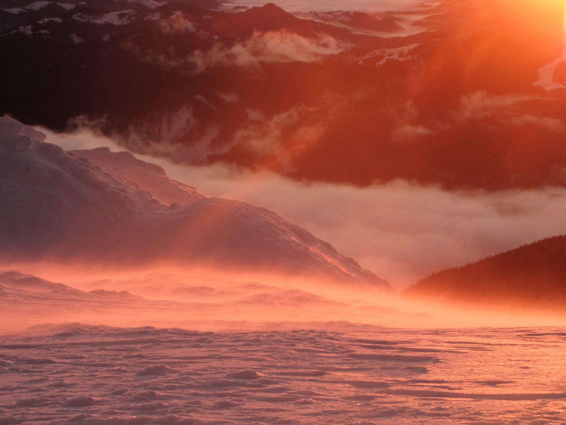 Красоту заснеженных Карпат в лучах солнца показали на сказочных фото