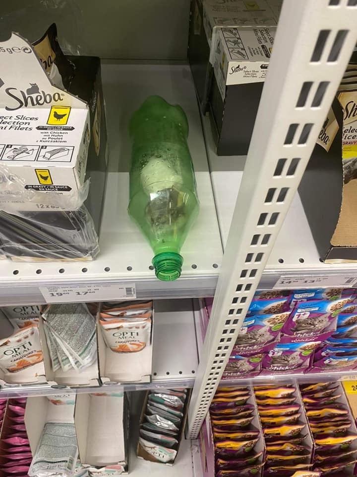 В киевском супермаркете на полке с кошачьим кормом обнаружили хомяков в бутылке (видео)