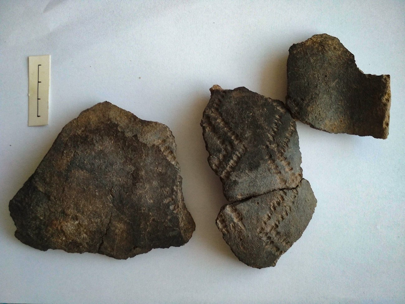 Под Хмельницким нашли пропавшую грамоту времен Киевской Руси и артефакты эпохи бронзы