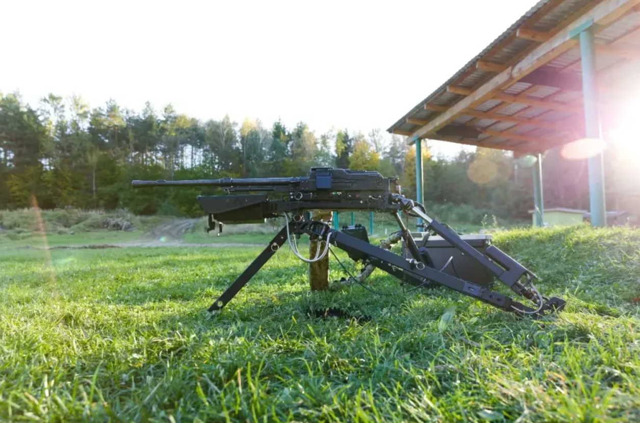ЗСУ озброять дистанційними бойовими модулями Wolly: що це за зброя