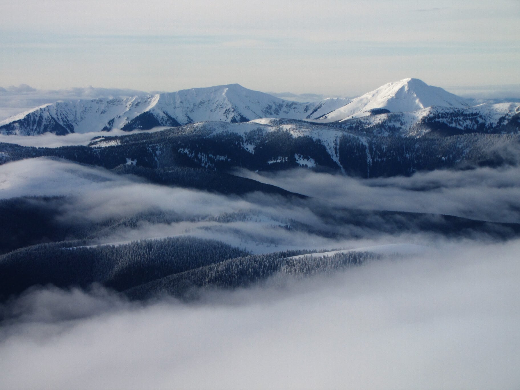 Красоту заснеженных Карпат в лучах солнца показали на сказочных фото