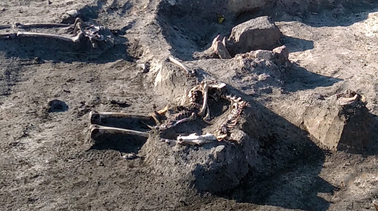 Под Хмельницким нашли пропавшую грамоту времен Киевской Руси и артефакты эпохи бронзы