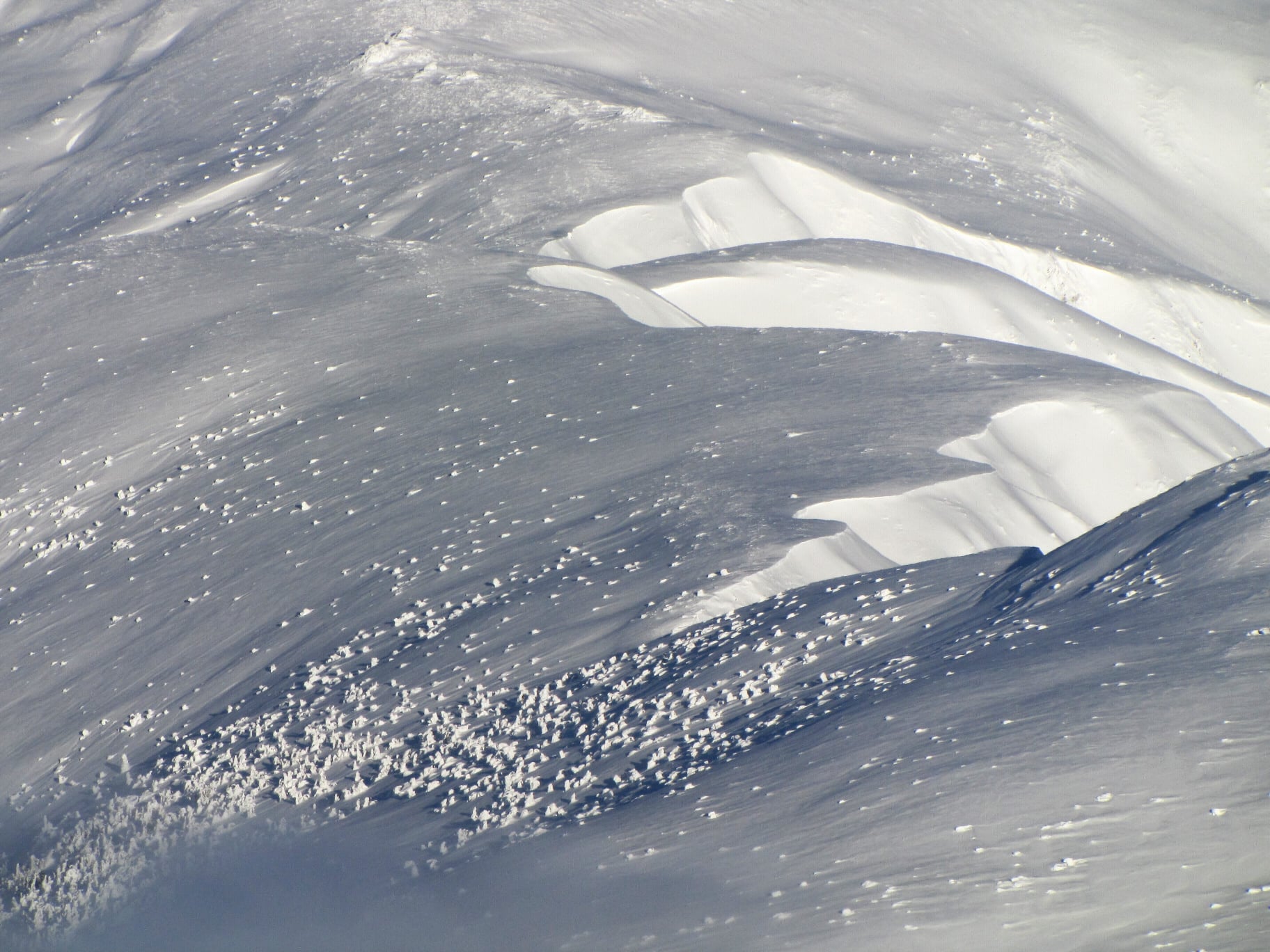 Красоту заснеженных Карпат в лучах солнца показали на сказочных фото