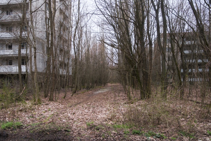 Закрито назавжди? Який вигляд має Прип'ять після аварії на ЧАЕС і чи повернеться туди життя