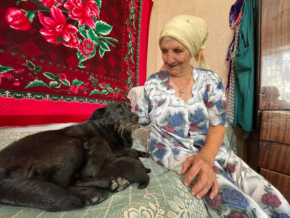 Сердце щемит, а душа радуется. Как живет сейчас Ефимовна, прятавшая собачку Боню в зеленый платок от обстрелов