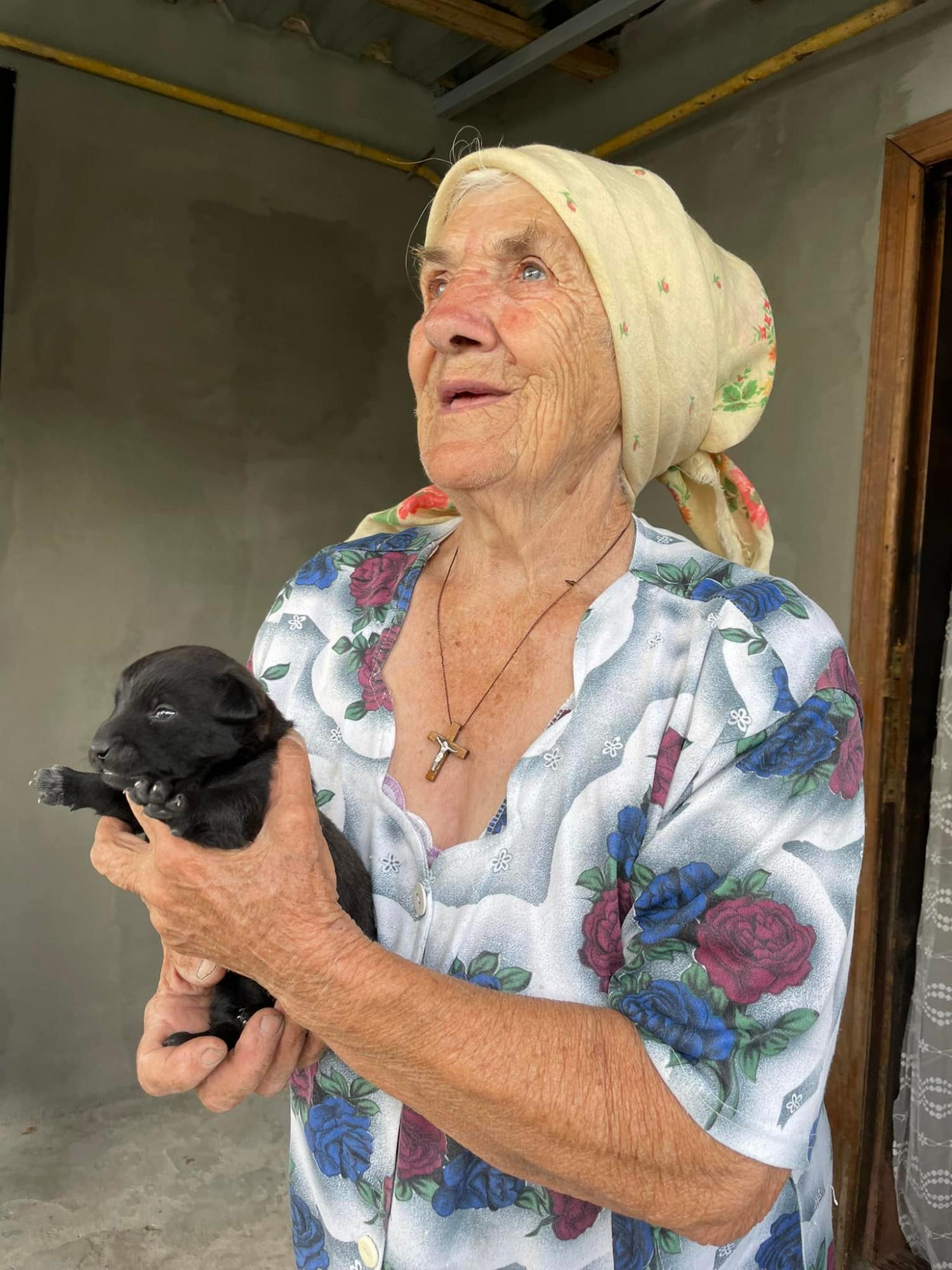 Сердце щемит, а душа радуется. Как живет сейчас Ефимовна, прятавшая собачку Боню в зеленый платок от обстрелов