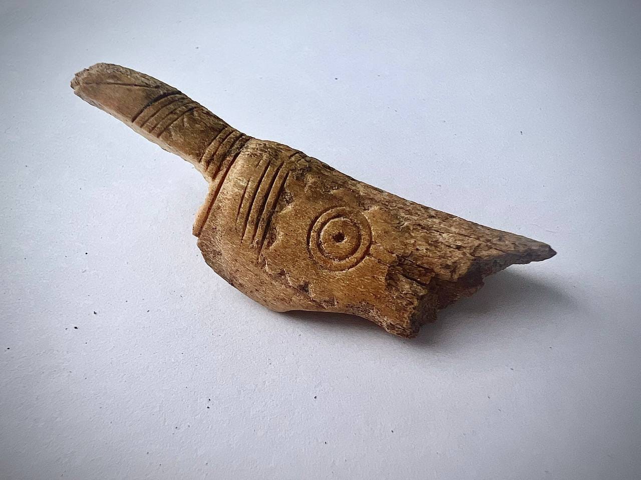 Под Полтавой нашли скифские артефакты и жилье эпохи бронзы, которому 3300 лет (фото)