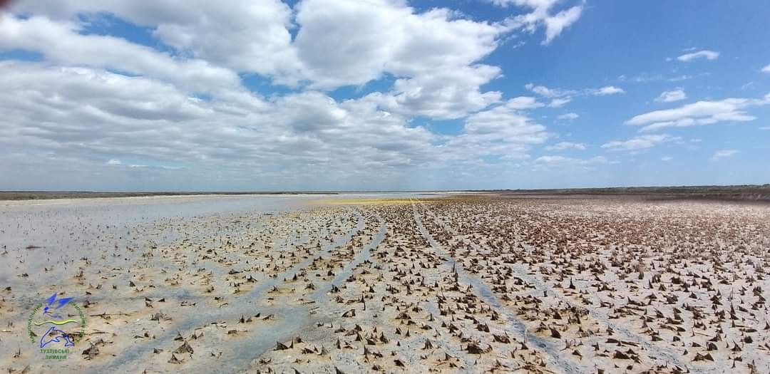 У природному парку "Тузловські лимани" пересохли унікальні озера (фото)