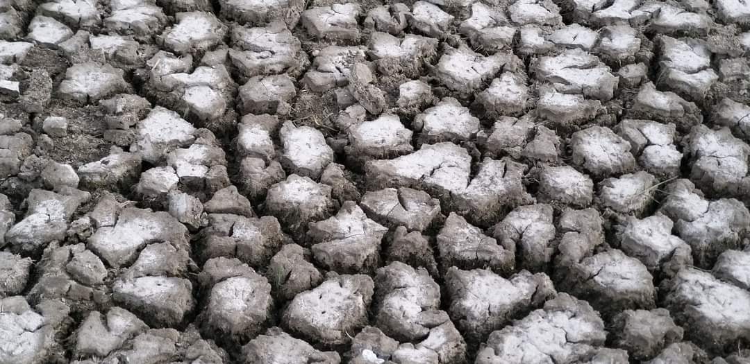 У природному парку "Тузловські лимани" пересохли унікальні озера (фото)