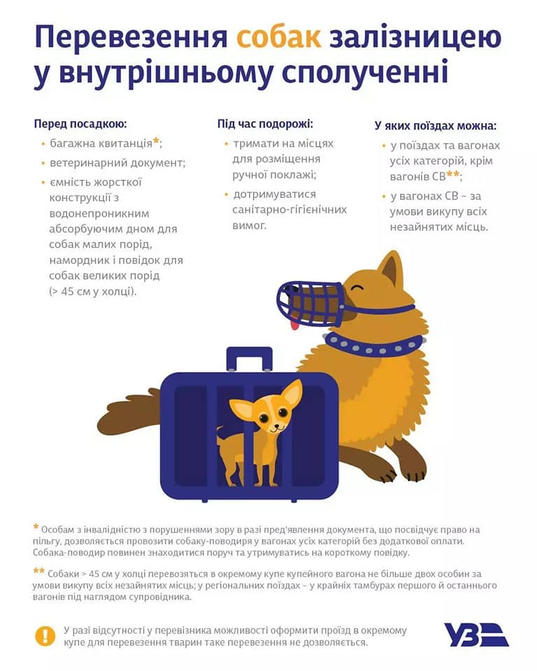 В "Укрзалізниці" спалахнув скандал через проїзд там собаки