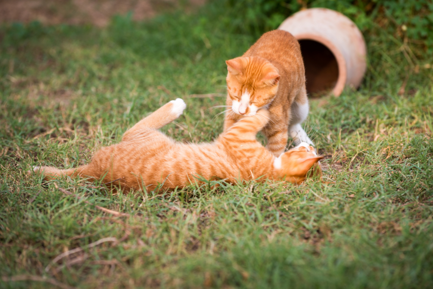 Праздник сегодня, 28 июня: что нельзя делать, народные приметы
