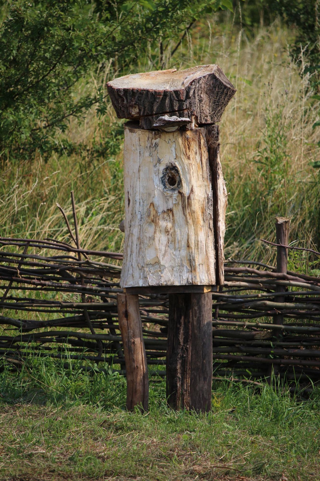 Під Львовом археологи розкопали слов'янські житла, яким тисяча років: фото артефактів