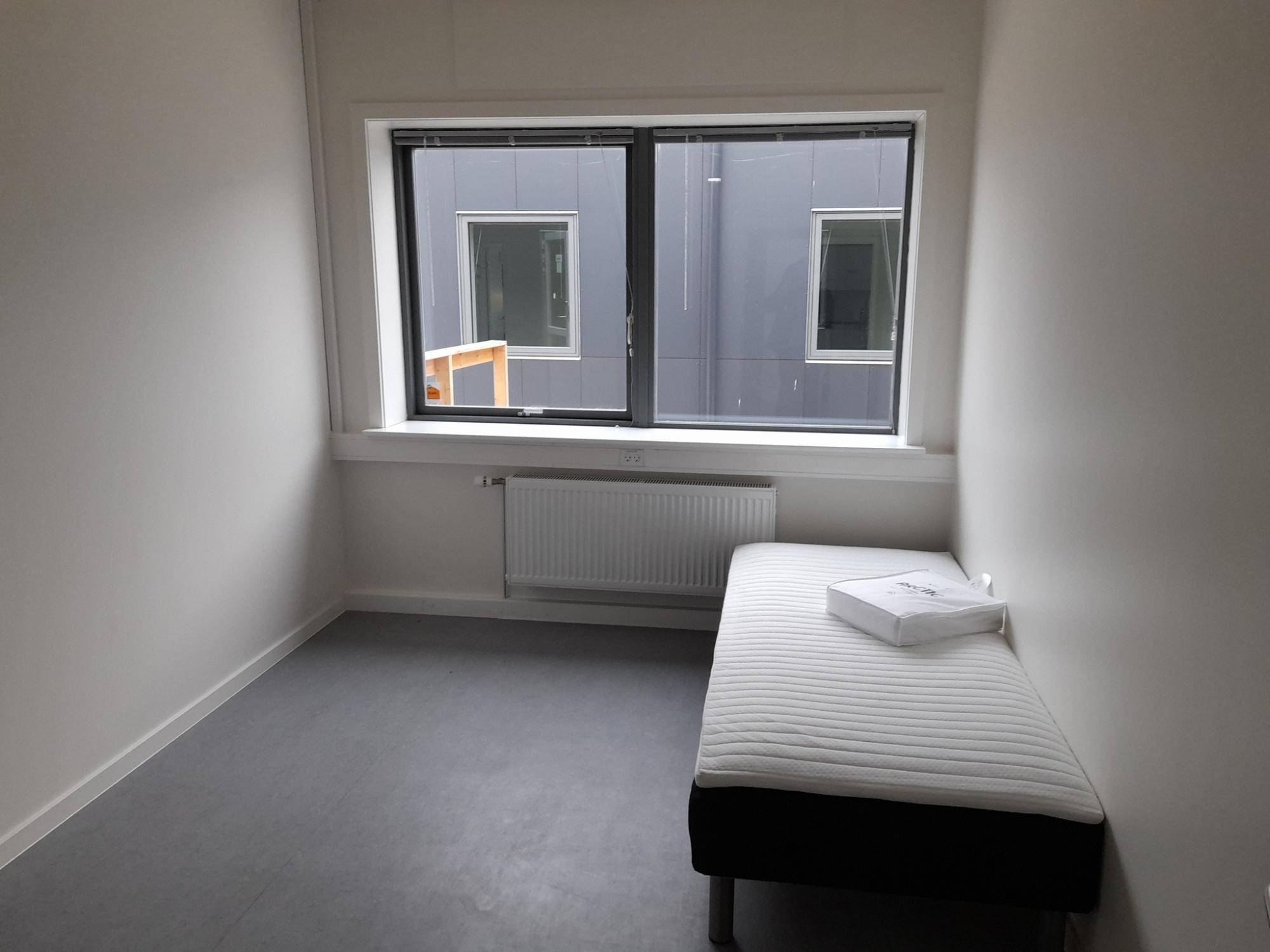 У Данії відкрили нове житлове містечко для біженців з України: як воно виглядає (фото)