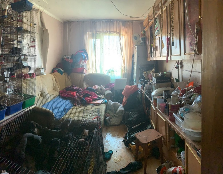 У Києві 5-річну дівчинку тримали під замком з купою собак: по квартирі гасають таргани