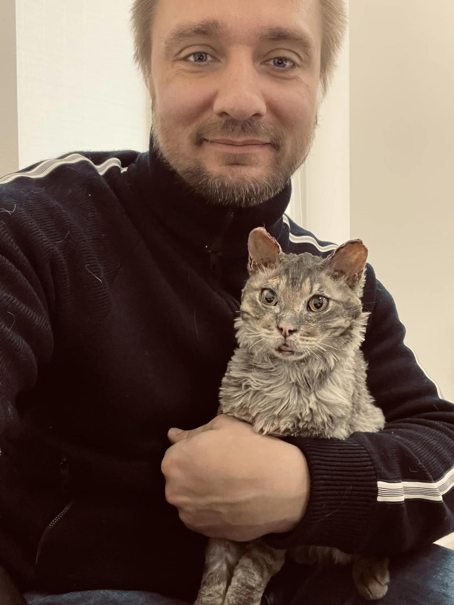 Відродився з попелу: дивіться, як зараз виглядає кіт Фенікс з Бучі