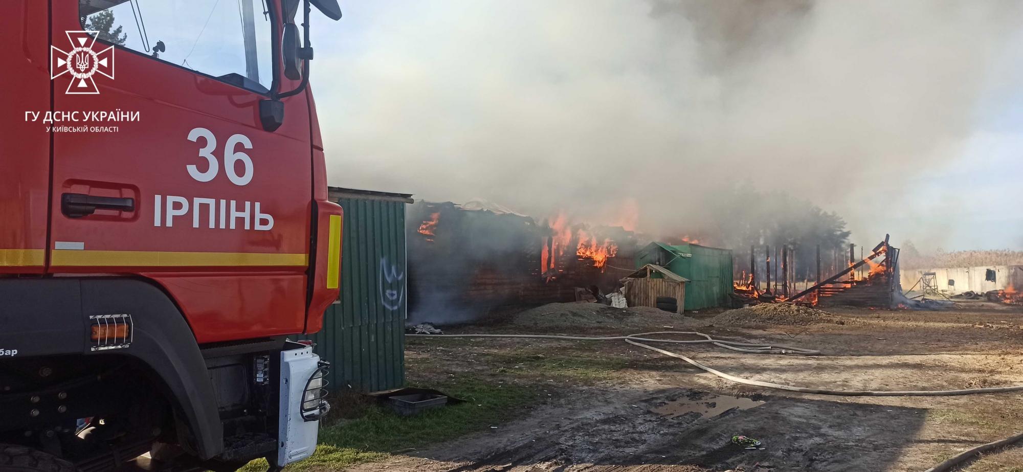 Під Ірпенем згоріло 450 квадратів, бо власник не дозволив рятувальникам набрати води: сказав, що не можна