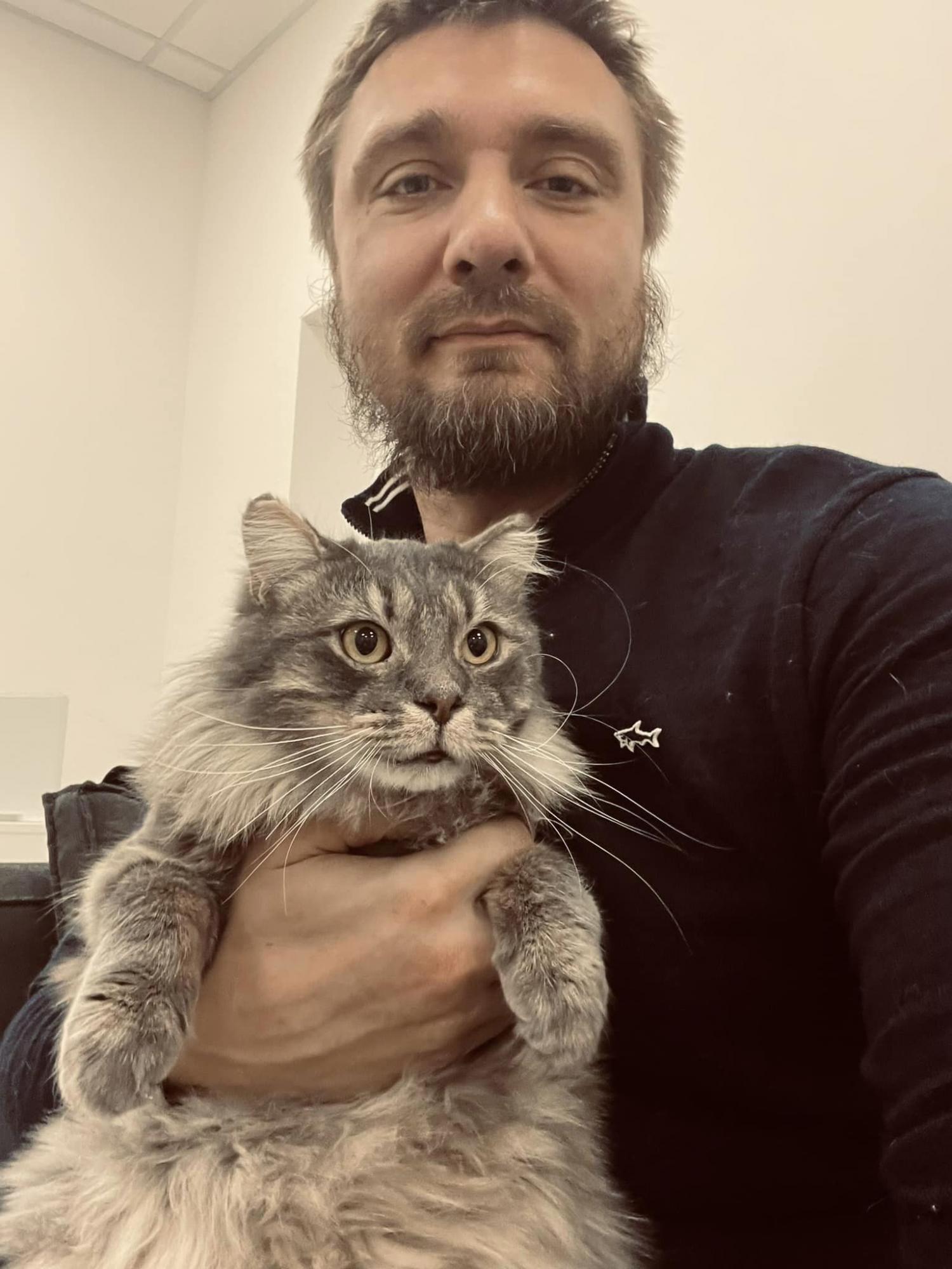 Відродився з попелу: дивіться, як зараз виглядає кіт Фенікс з Бучі