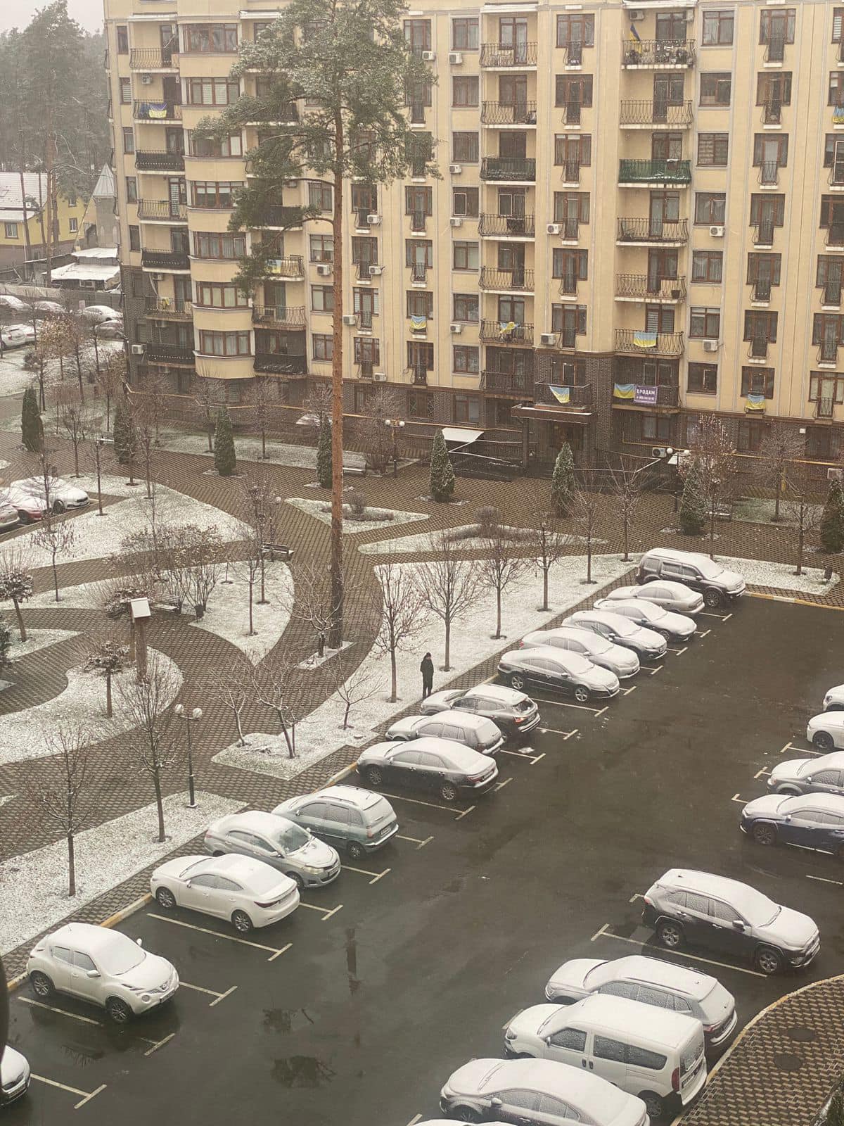 Україну окутало снігом, подекуди  висипало 10 см: красиві фото і відео