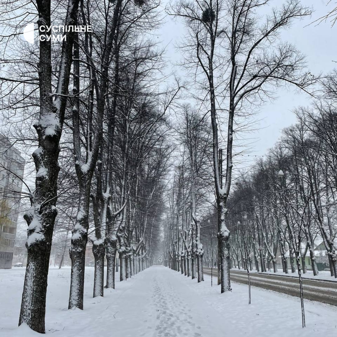 Україну окутало снігом, подекуди  висипало 10 см: красиві фото і відео