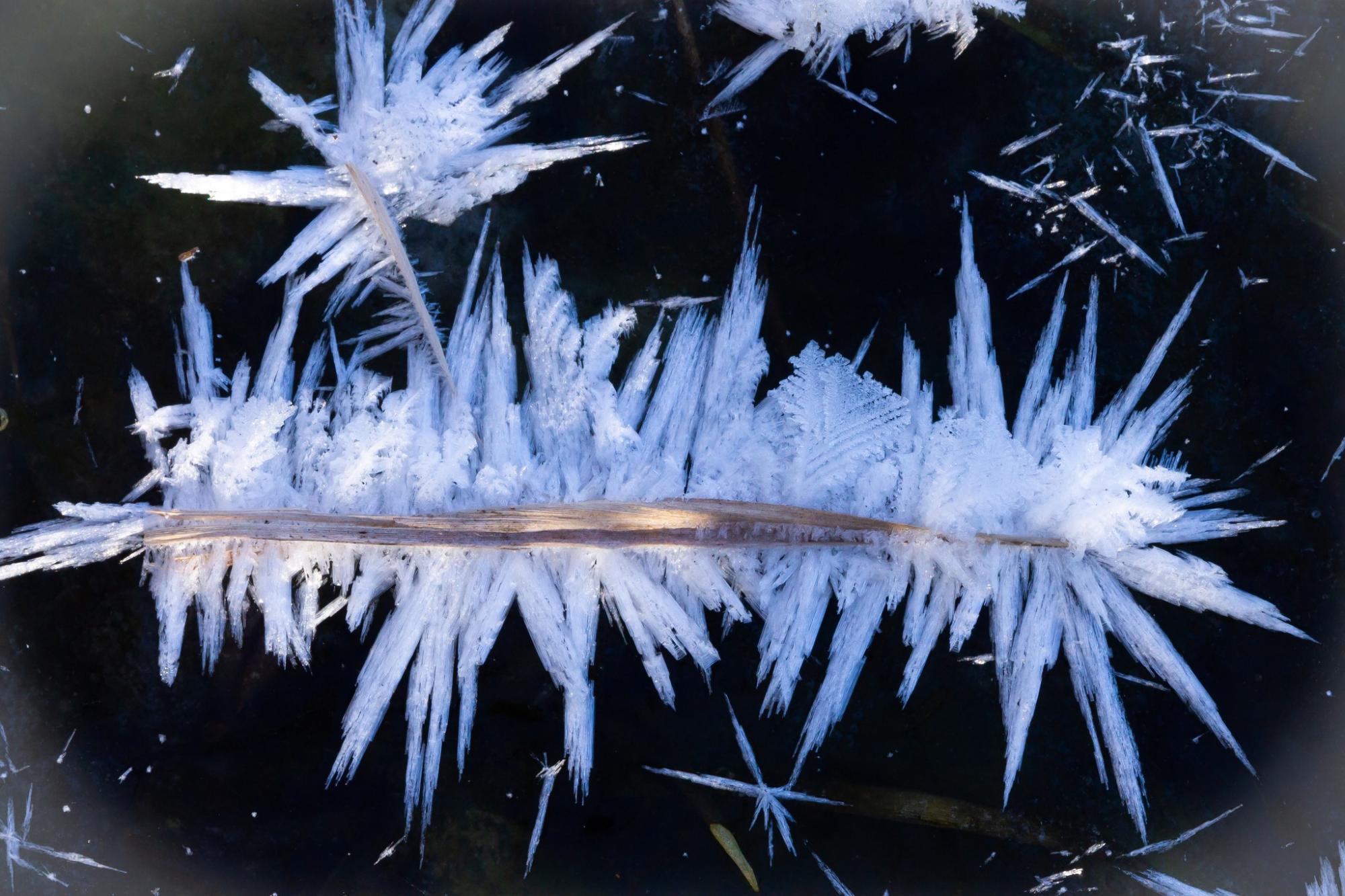 Харьковчане увидели одно из самых прекрасных явлений зимы в Украине (фото)