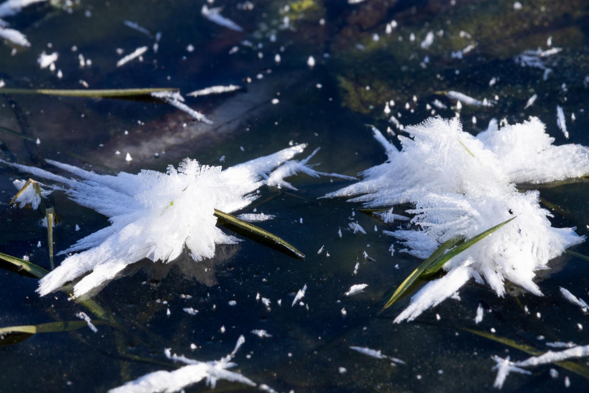 Харьковчане увидели одно из самых прекрасных явлений зимы в Украине (фото)