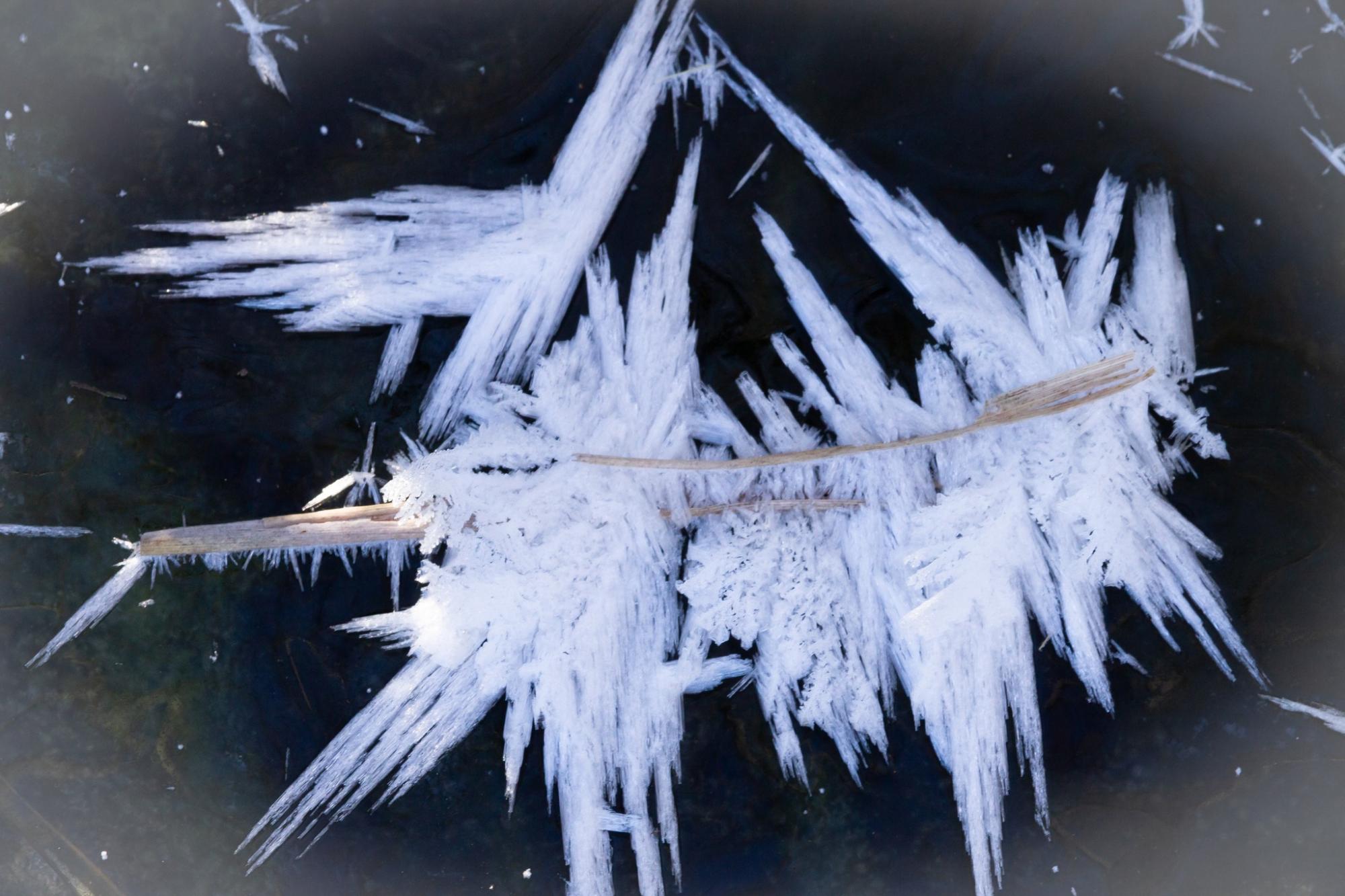 Харьковчане увидели одно из самых прекрасных явлений зимы в Украине (фото)