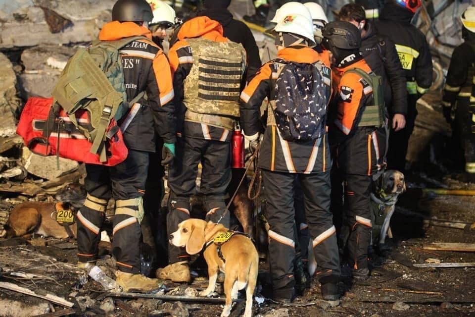 Понимают весь ужас: в Днепре собаки помогают искать людей под завалами (фото)