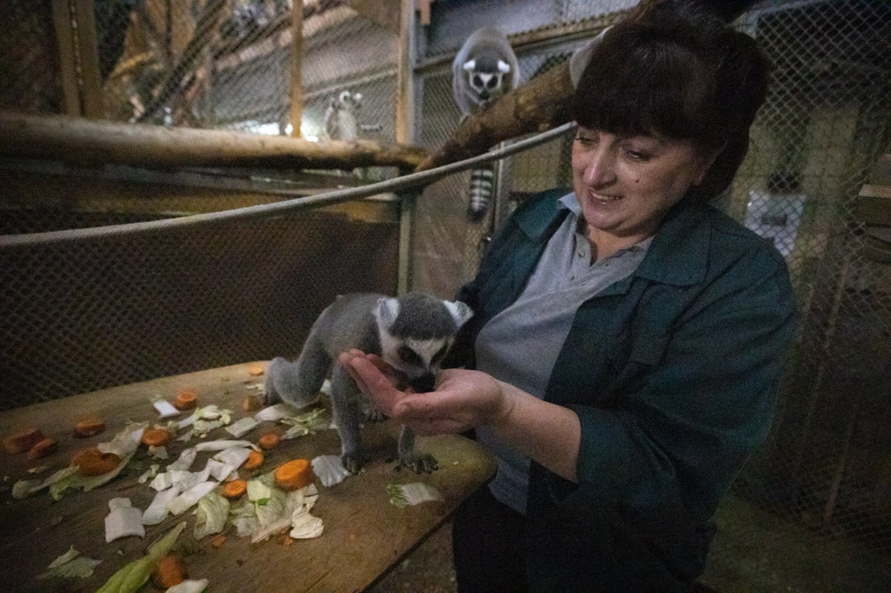 Як змінилися тварини Київського зоопарку за рік війни: неймовірно милі фото