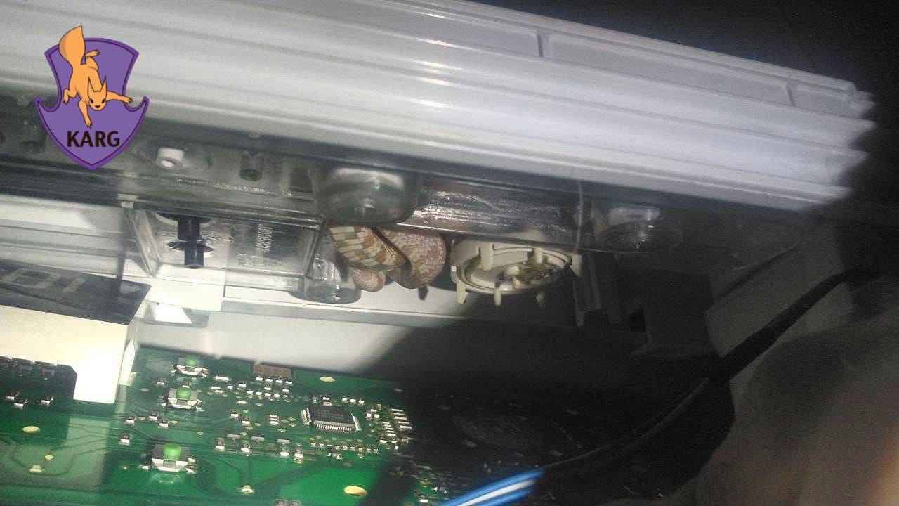 У Києві знайшли змію у пральній машині: зоорятувальники показали фото