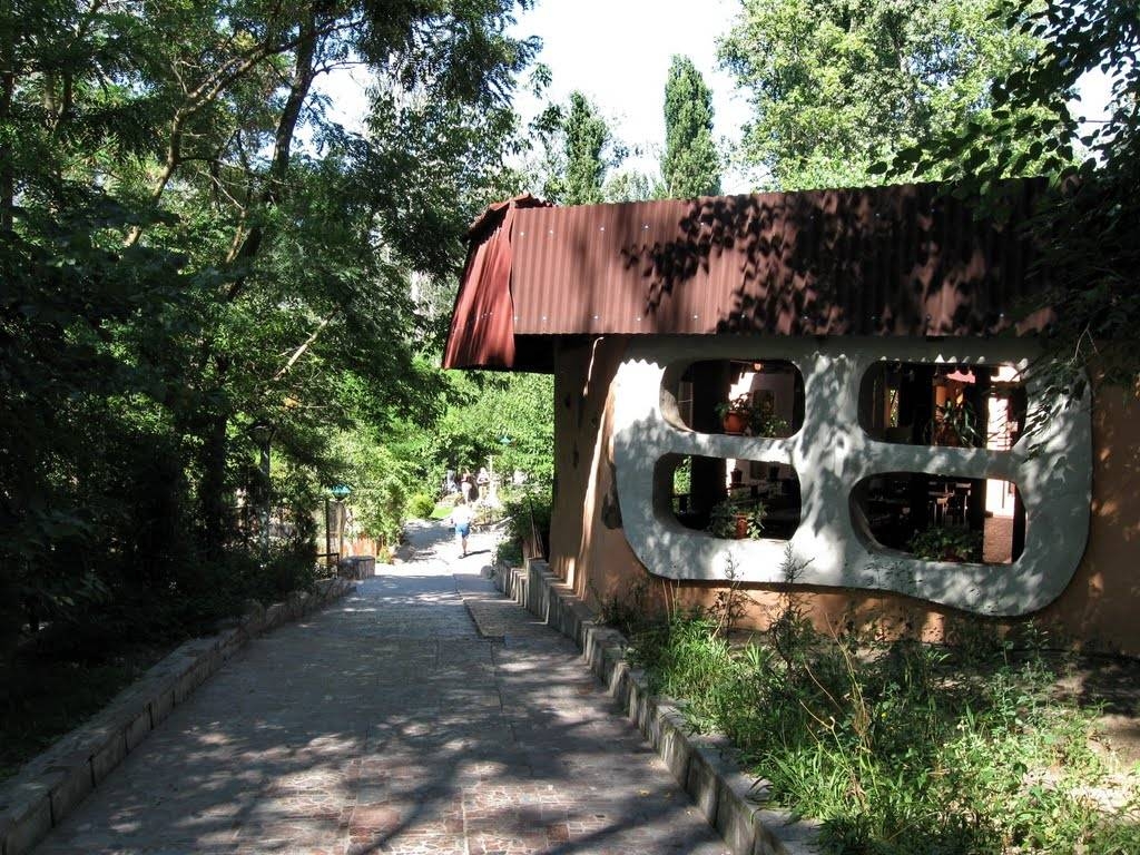 Вода с Каховской ГЭС затопила зоопарк "Казкова діброва" (видео)