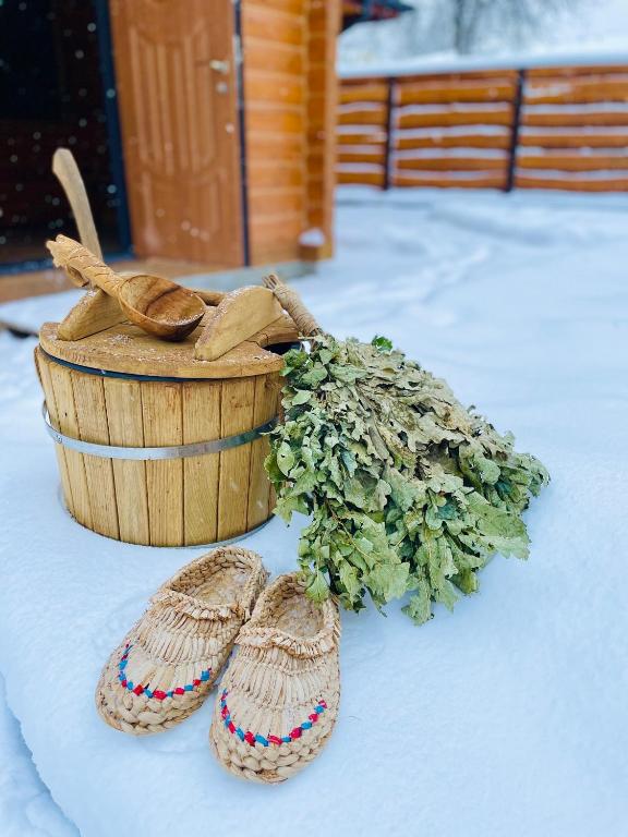 Весняні вихідні в Карпатах: топ будинків і котеджів, де можна відпочити на природі