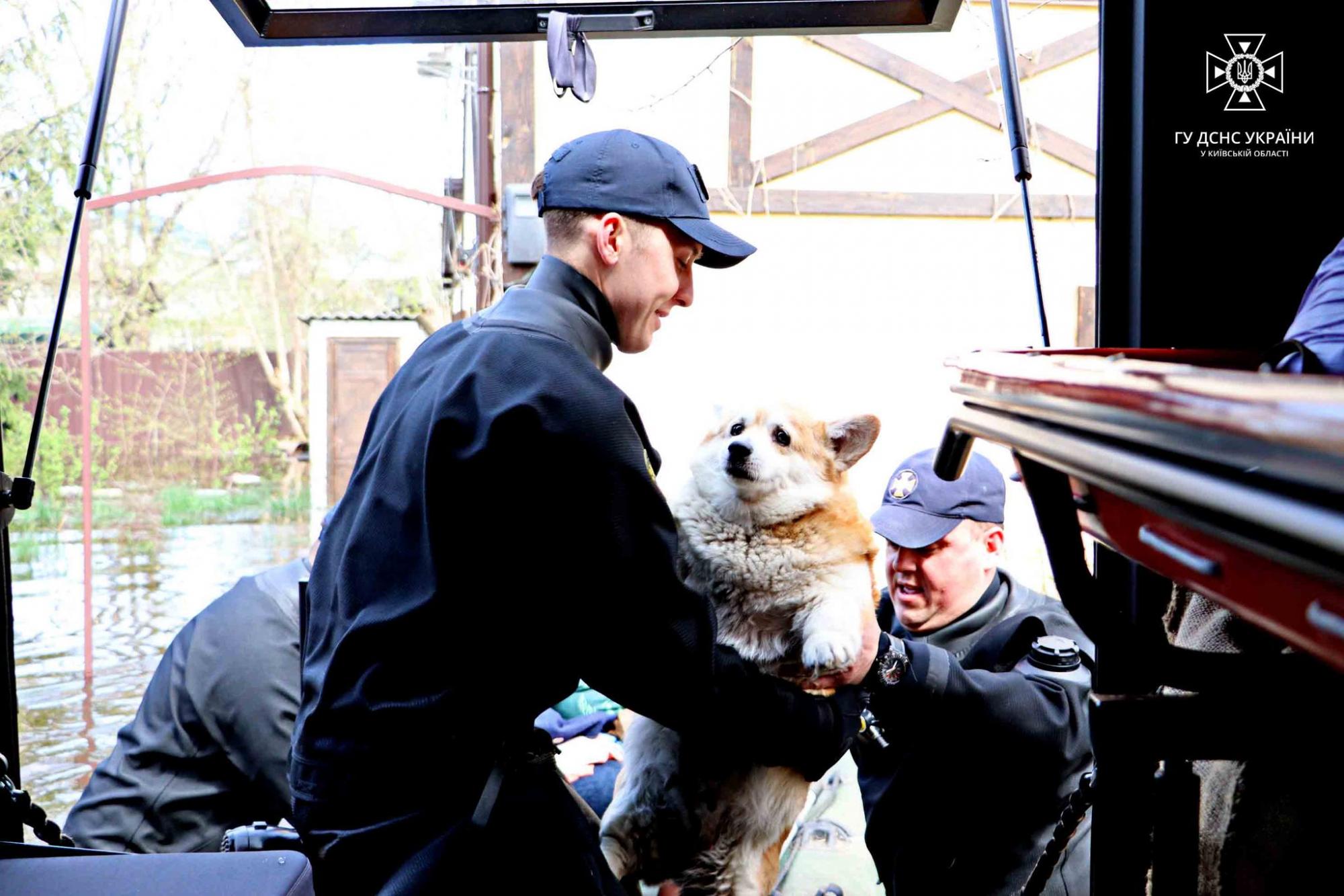 У ДСНС показали, як героїчно борються із наслідками "великої води" в Києві (фото та відео)