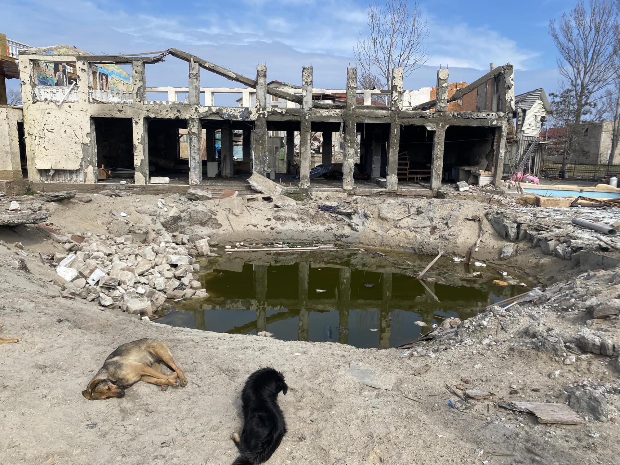 Остались только собаки и руины. Как выглядит сейчас курортная Затока под Одессой